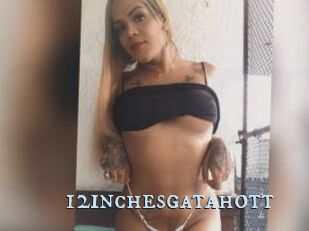 12inchesgatahott