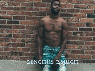 2inches_2much