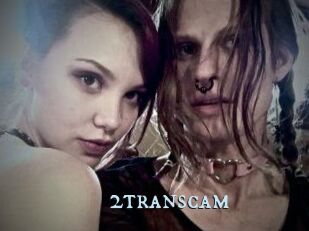 2_trans_cam
