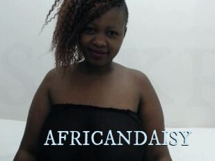 AFRICANDAISY
