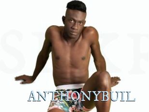 ANTHONYBUIL