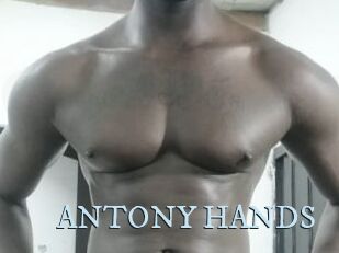 ANTONY_HANDS