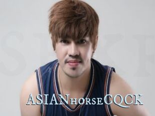 ASIANhorseCQCK