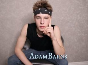 AdamBarns