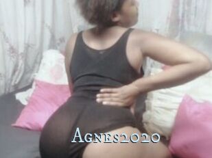 Agnes2020