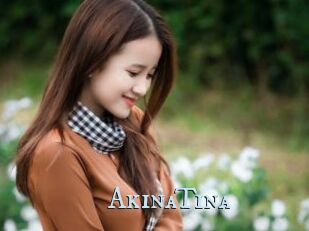 AkinaTina