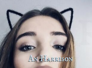 An_Harrison
