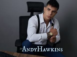 AndyHawkins