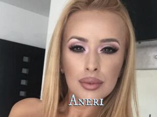 Aneri