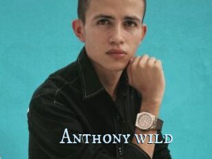 Anthony_wild