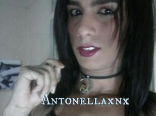 Antonellaxnx