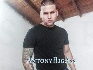 AntonyBigAss