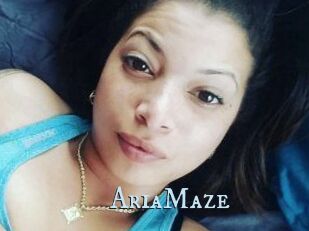 Aria_Maze
