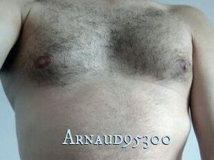 Arnaud95300