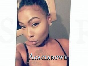 Acacia_rowe