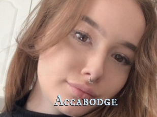 Accabodge