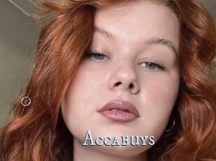 Accabuys