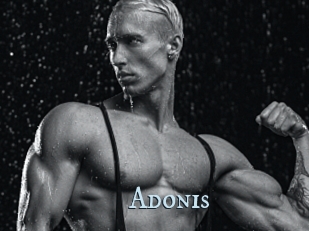 Adonis_