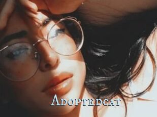 Adoptedcat