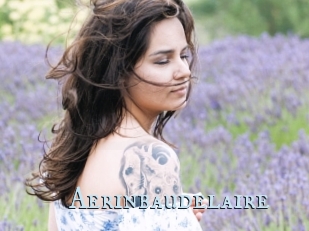 Aerinbaudelaire