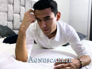 Agnuscaelie