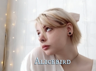 Alicebird