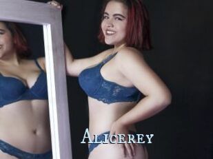 Alicerey