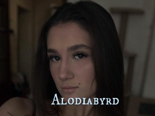 Alodiabyrd