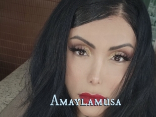 Amaylamusa