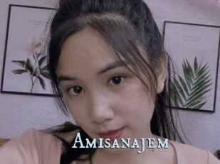 Amisanajem