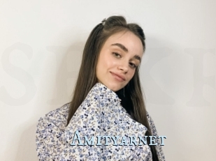 Amityarnet