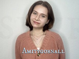Amitygornall