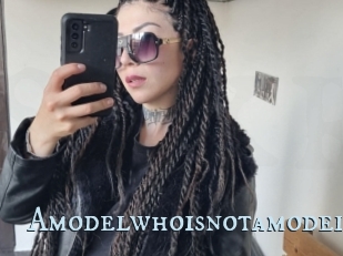 Amodelwhoisnotamodel