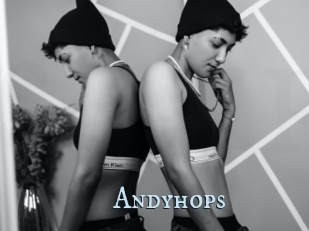 Andyhops