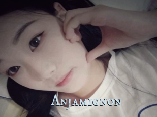 Anjamignon