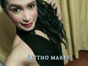 Antho_marin