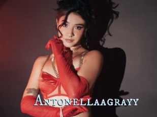 Antonellaagrayy
