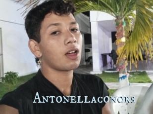 Antonellaconors