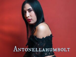 Antonellahumbolt