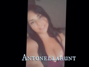 Antonellahunt