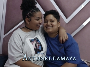 Antonellamaya