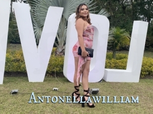 Antonellawilliam