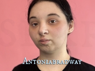 Antoniabradway