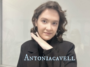 Antoniacavell