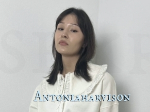 Antoniaharvison