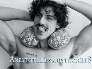 Aristotelesmustache18