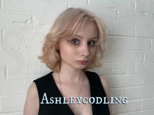 Ashleycodling
