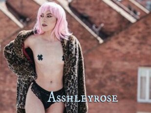 Asshleyrose