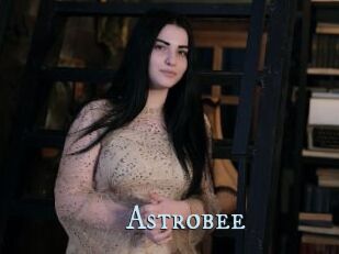 Astrobee