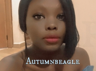Autumnbeagle